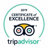 trip-advisor-2019