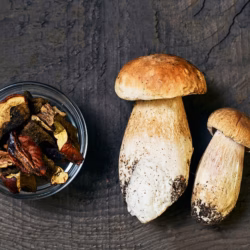 hf 20260304 081653 17e54981 1d2a 443c ae8c 7b258c05bf09